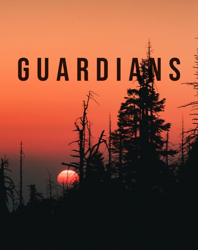 guardiansb